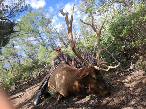 Arizona Elk Draw 2026