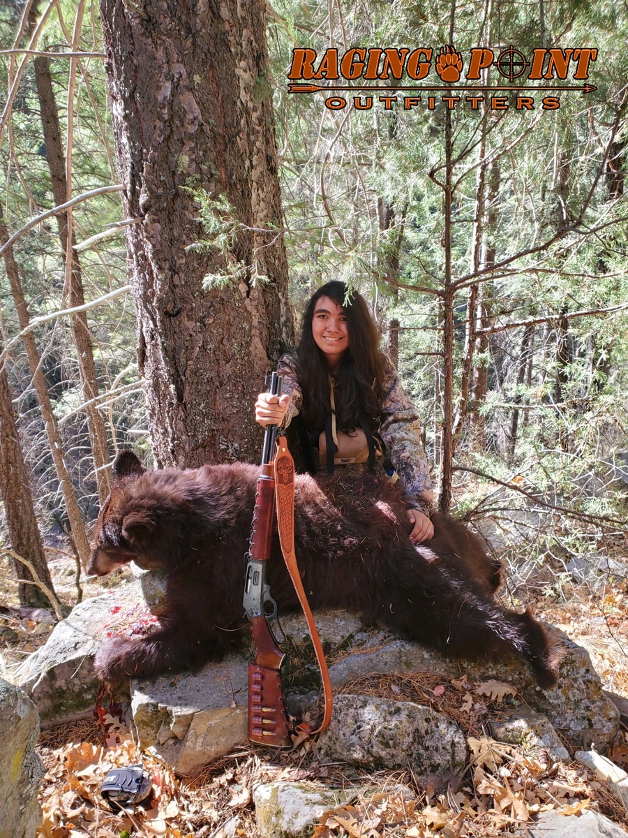 Arizona Black Bear Hunting Guides Guided AZ Bear Hunts