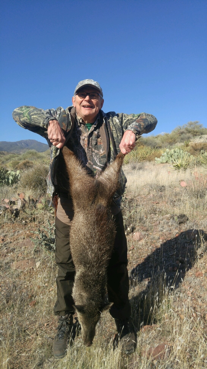 Arizona Javelina Hunts AZ Javelina Hunting Guide