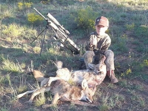 Coyote